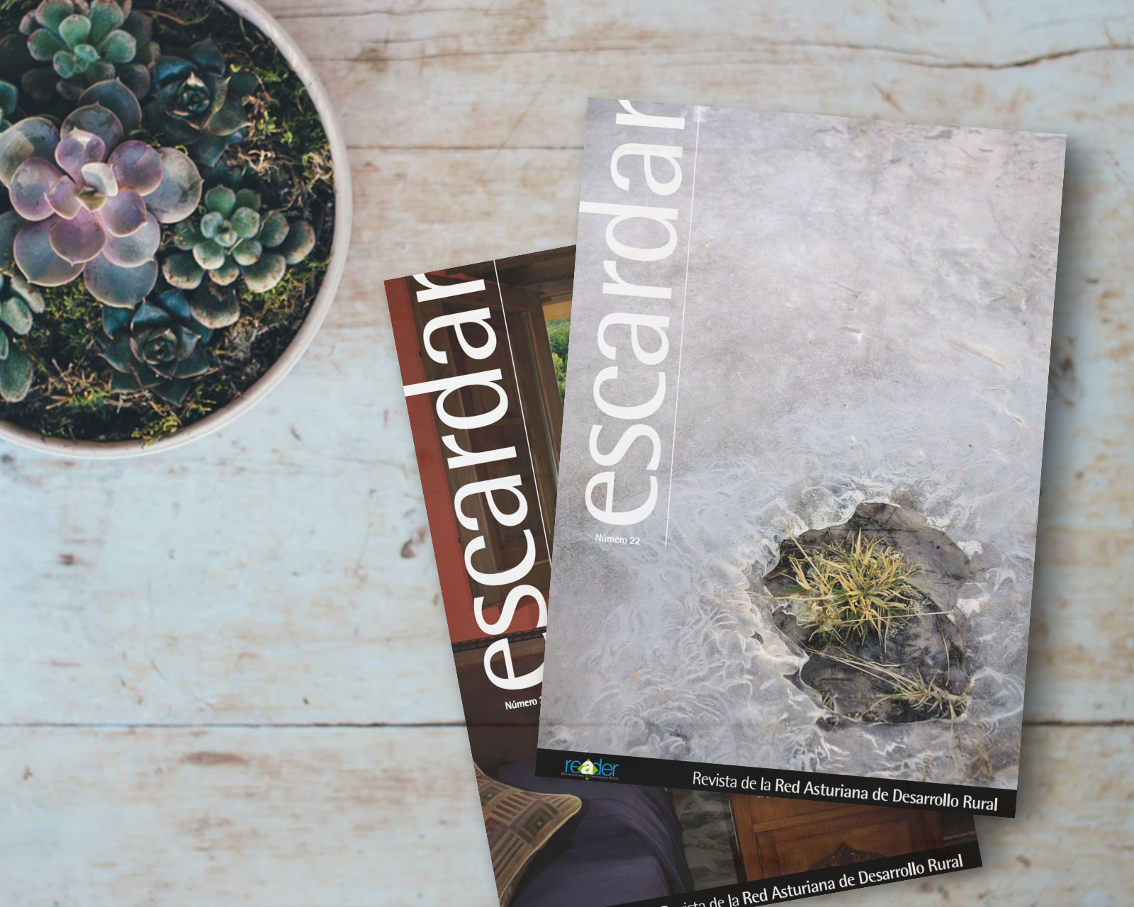 Revista ESCARDAR